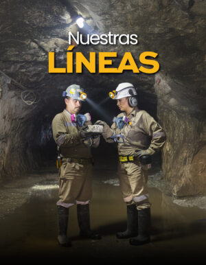 Nuestras Líneas
